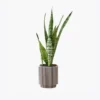 product-image-6_optimized Kraft Paper Bags